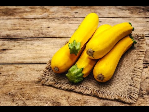 Esplorando il Lato Gustoso delle Zucchine Gialle: 7 Squisite Ricette da Sfoggiare come Contorno